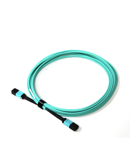 Acconet Patch Lead 12Core MPO Female to MPO Female 5M