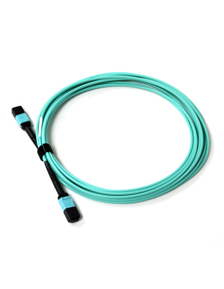 Acconet Patch Lead 12Core MPO Female to MPO Female 5M