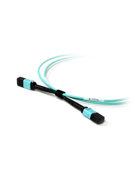 Acconet Patch Lead 12Core MPO Female to MPO Female 1M