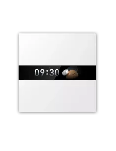 Aqara Display Switch V1 |WS-K02D