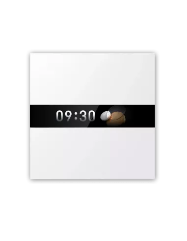 Aqara Display Switch V1 |WS-K02D