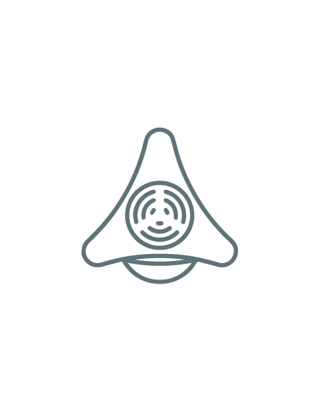 09|Telephony|VoIP Phones|Conference Phones