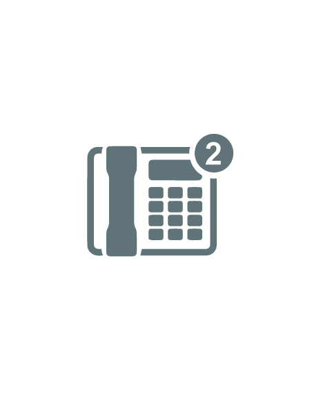 09|Telephony|VoIP Phones|SIP Phones - 2 Line