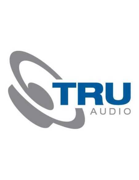 4|IoT & Smart Home|VSSL Smart Audio|TruAudio Speakers