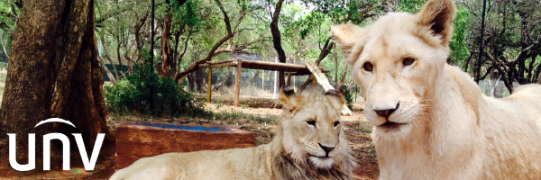 A new set of eyes to keep watch over the Chameleon Village Lion Park