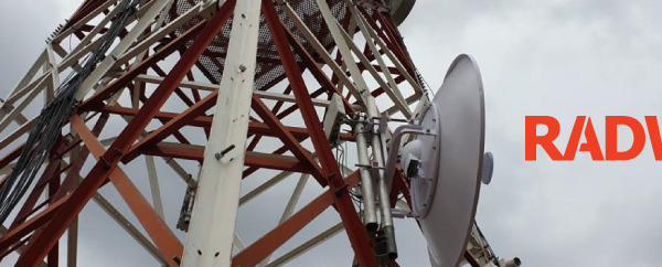 Sometimes time and reputation are worth more than money! 